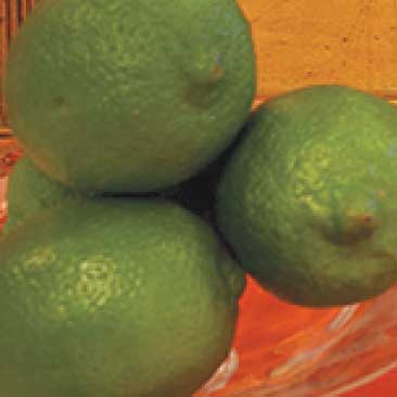 Green detail of a bowl of limes from a Isabella Stewart Gardner Museum fundraiser proposal; Boston Event Planner, Boston Event Planning, Boston Event Stylist, Boston Event Styling