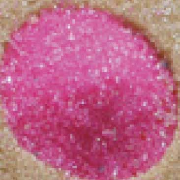 Pink detail of sugar 'paint' from a sugar 'palette' from a proposal for a fundraiser held at the Isabella Stewart Gardner Museum; Boston Event Planner, Boston Event Planning, Boston Event Stylist, Boston Event Stylin