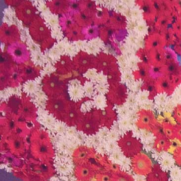 Pink detail of a kite made of gerbera daisies from a Harvard University graduation celebration; Boston Event Planner, Boston Event Planning, Boston Event Stylist, Boston Event Styling