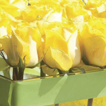 Yellow roses from a backyard birthday pool party; Boston Event Planner, Boston Event Planning, Boston Event Stylist, Boston Event Styling